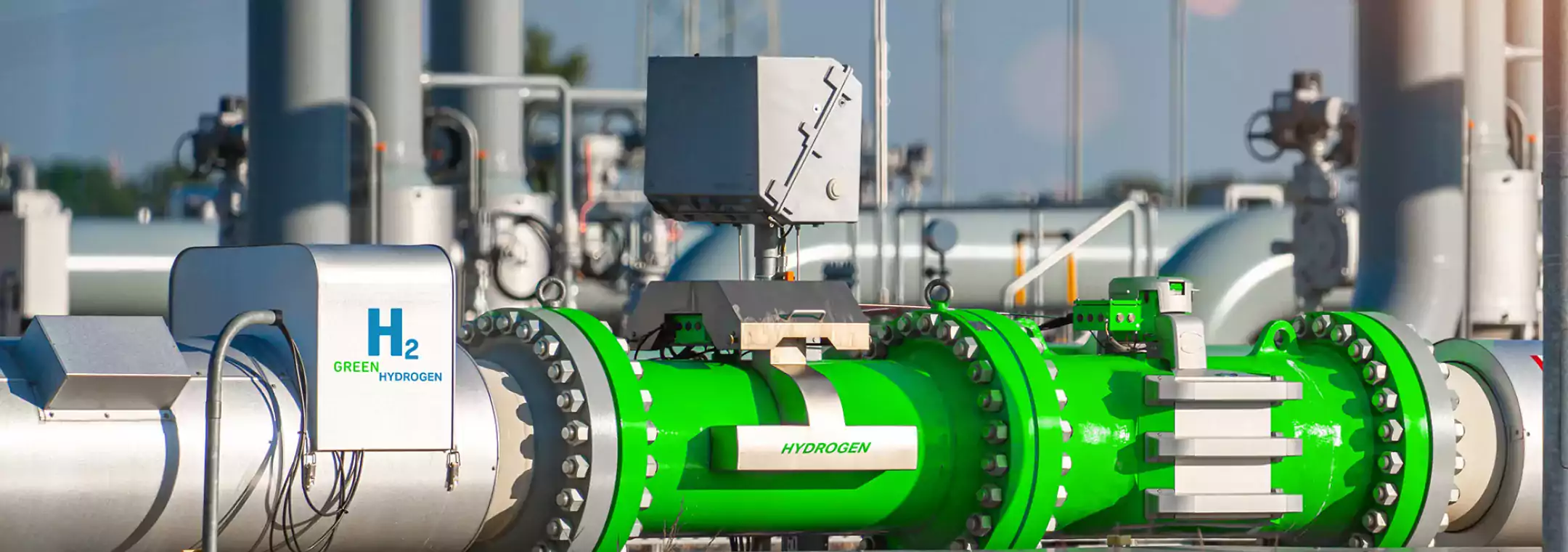 1710842796116251.jpg US-web.jpg.jpg